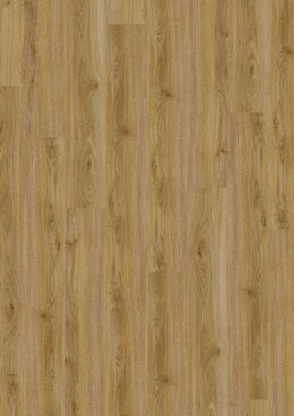 Vinylová podlaha D555 Cozy Oak, 5412