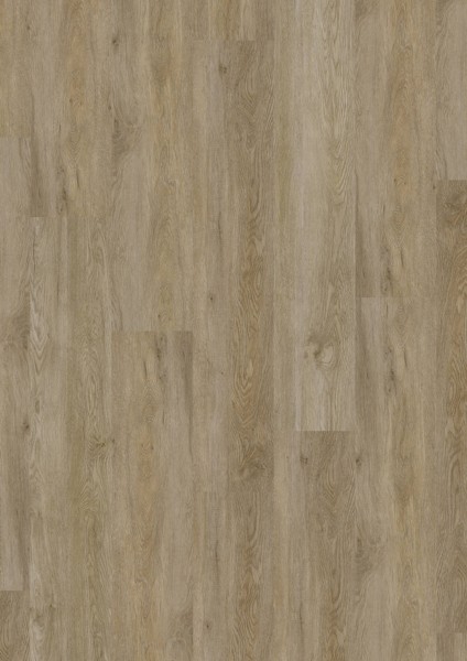 Vinylová podlaha D555 Imperial Oak, 5424