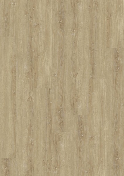 Vinylová podlaha D555 Champagne Oak, 5508