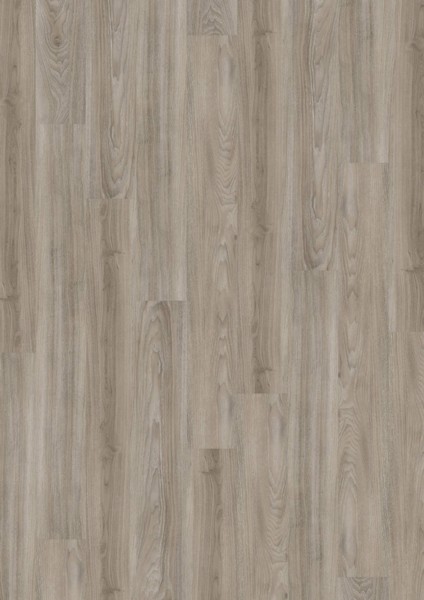 Vinylová podlaha D555 Ivory Elm, 5513