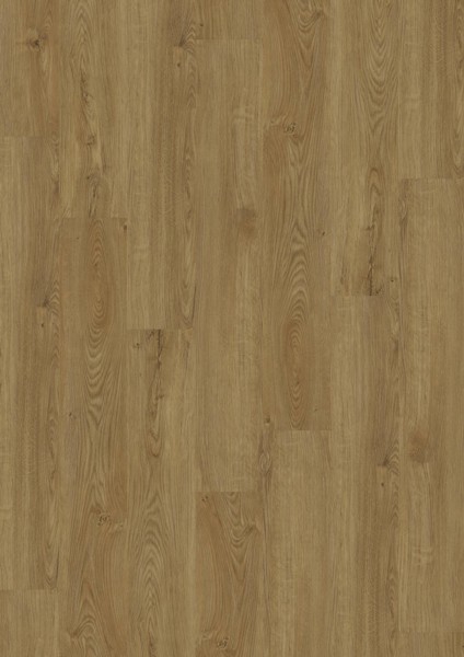 Vinylová podlaha D555 Honey Oak, 5524