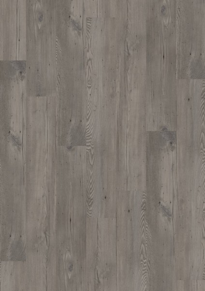 Vinylová podlaha D555 Wormy Grey Fir, 5528