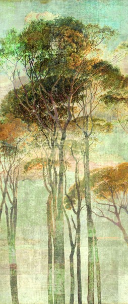 Fototapeta Khroma Wall design II, DG2HYM1022