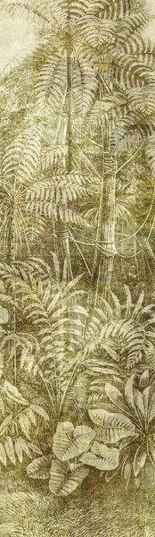 Fototapeta Khroma Wall design II, DGCAB1024