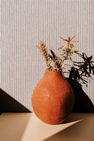 flora-47485