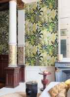 havana-hav004