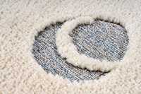 meghanlalee-kids-fao396cats