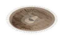 meghanlalee-kids-fao399lion