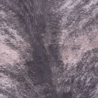 obsession-skins-tol193grey