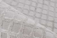 pierrecardin-cal501sil