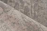 pierrecardin-cal503sil