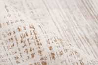 pierrecardin-cla903ivb