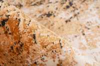 pierrecardin-ely904gol