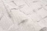 pierrecardin-jar706sii