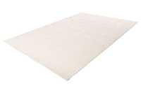 pierrecardin-nan501bei