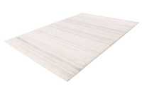 pierrecardin-nan501sii