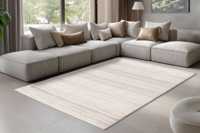 pierrecardin-nan501sii