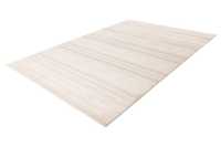 pierrecardin-nan503ivo