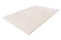 pierrecardin-nan505ivo