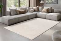 pierrecardin-nan505ivo