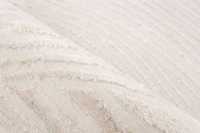 pierrecardin-nan505ivo