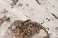 pierrecardin-tro503bei