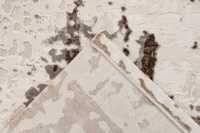 pierrecardin-tro503bei