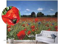 smart-art-easy-47273