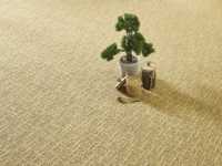 sprint-altro22