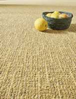 sprint-altro22