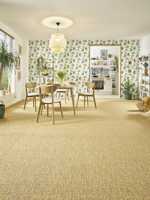 sprint-altro22